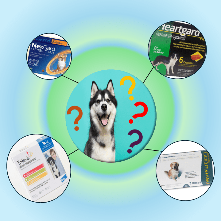 How to Choose the Right Heartworm Prevention for Your&nbsp;Dog
